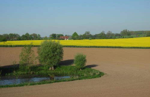 Haus Jenny, Wohnung E3b, Sonne rundum - Photo 4