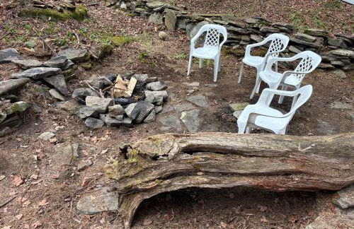 Roscoe Pine House - Foto 27