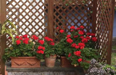 Residence Santa Maria Suites - Foto 43