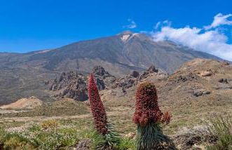 Acapulco Apartamento cerca de Santa Cruz y del mar - Foto 60