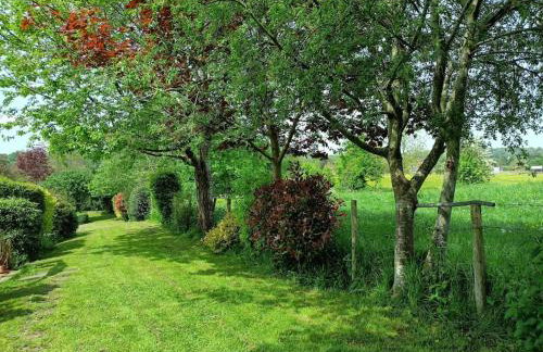 Idyllic with Stream - Hot Tub - Pet ok- Walk 2 Pub - Foto 25