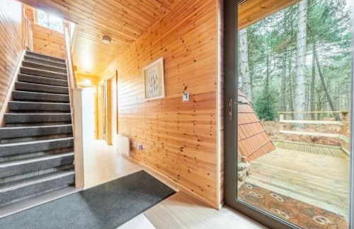 Woodpecker - Photo 32