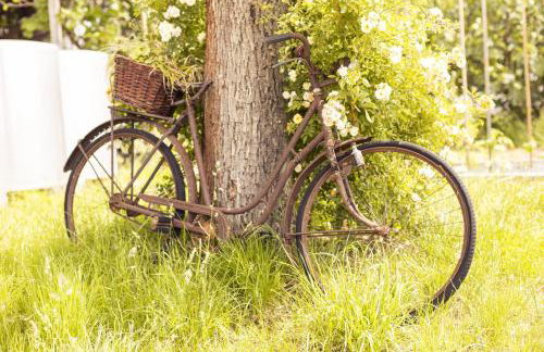 Hofquartier - Foto 13