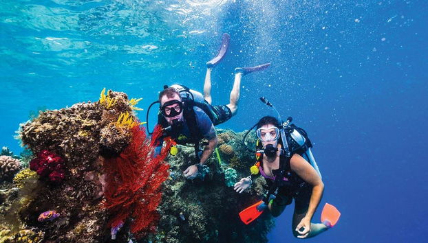 Dreamtime Tauch- und Schnorcheltour - Foto 4