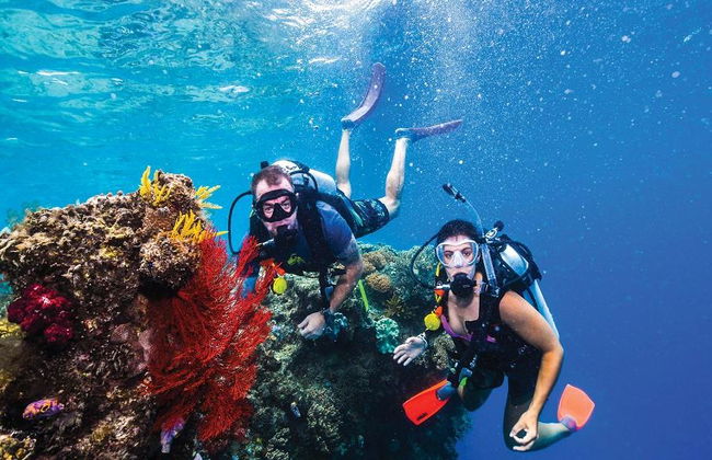 Dreamtime Tauch- und Schnorcheltour - Foto 4