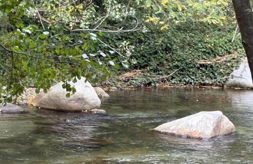 CHEZ FERNAND - Foto 19