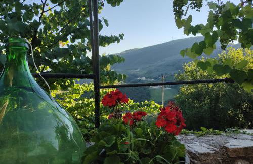 Guesthouse Runcini - Photo 24