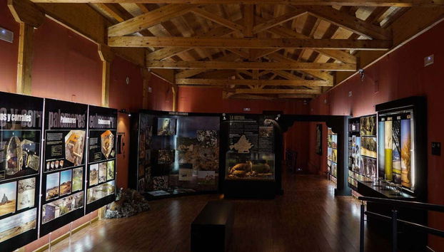 Exposition du musée