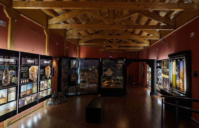 Biglietti per il Museo del Cerrato Castigliano - Foto 2