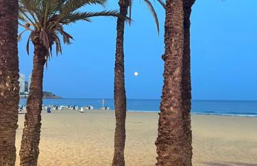 BENI'LOVE en PLAYA VUE MER PANORAMIQUE - Foto 31