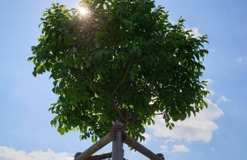 RhönStyle - Foto 26