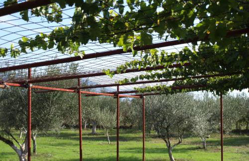 ΠΑΛΗΟΚΤΗΜΑ - Palioktima - Photo 27