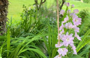 Monolocale COCO74 - Foto 16