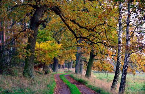 Ferienwohnung Petra Bargel "die Nr 1"in Speck - Foto 4