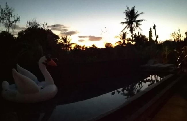 Honeybee Hut Lembongan - Foto 9