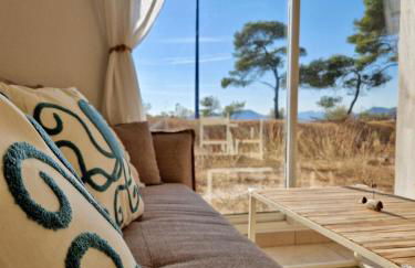 Les flamants roses de la Capte T3 - Foto 1