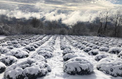 Kuća za odmor Koprivnjak - Foto 23