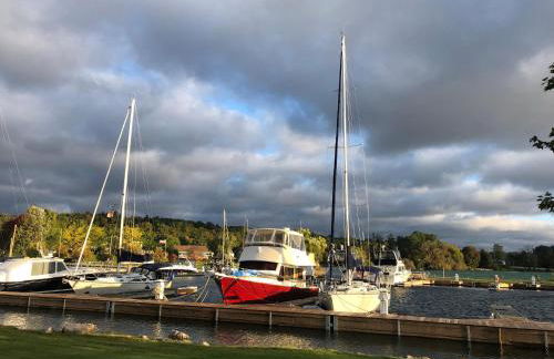 Sweet Cherry "Coral Shutter" - Foto 11