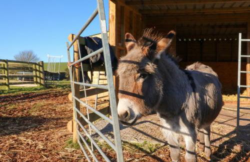 Langdale Barn - Foto 26