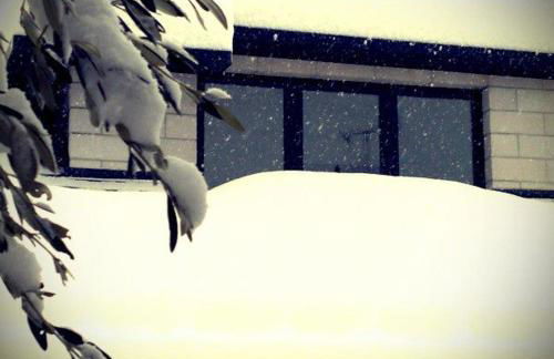 B&B Villa Verde - Foto 7