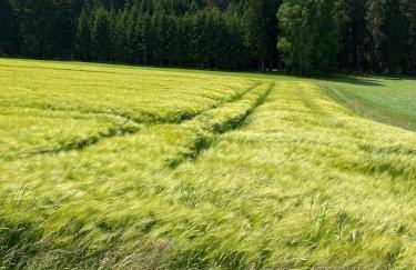 Haus mit Geschichte in Mähring - Foto 22