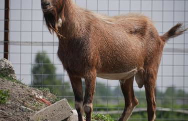 Agriturismo Quadrifoglio Relax - Foto 89