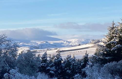 Woodside Steading - Photo 20