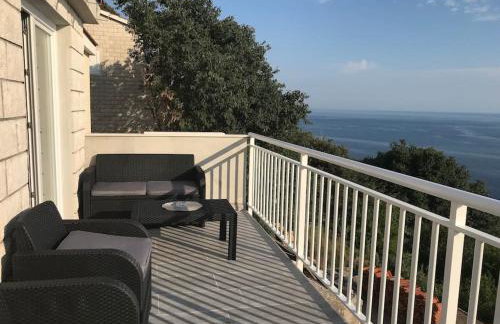 Captain Branko - Foto 16