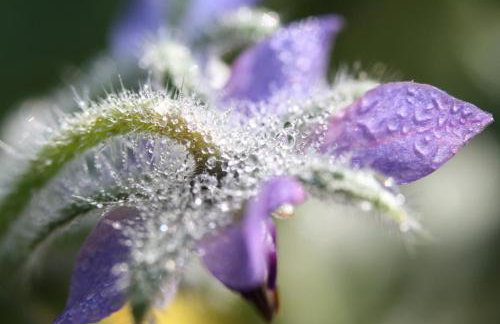 La ferme de Berlioz - Foto 39