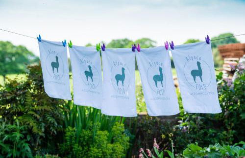 Alpaca Fold - Foto 20