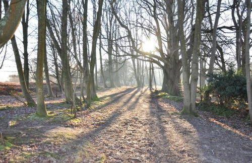 Mill Barn by inspirestays-com - Foto 41