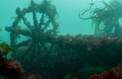 Gîte entre Mer et Abers - Foto 33