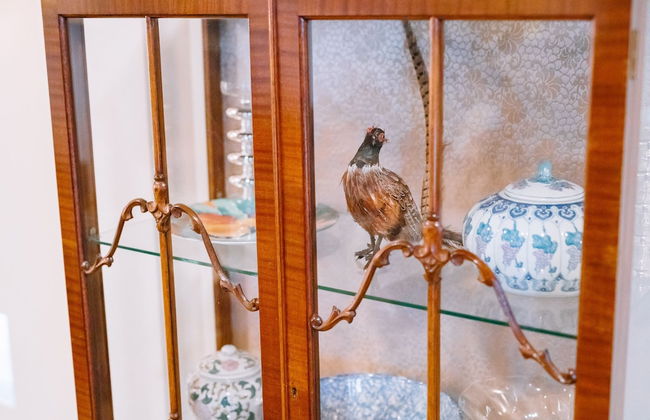 Outlook Hill Vineyard Cottages - Foto 9