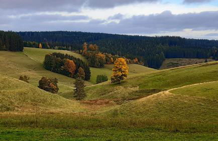 Ferienglück Unterkirnach - Foto 20