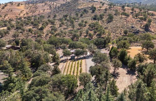 The Petite-Villas at Dorner Family Vineyard - Foto 25