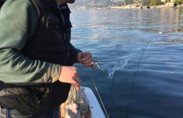 Mella Bellagio -La Corte - at the Lake with parking - Foto 36