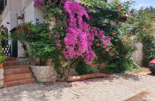 Studio apartment in Mali Losinj with terrace, air conditioning, WiFi, washing machine 4913-2 - Foto 9