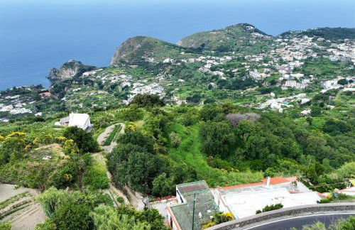 Appartamento di villa gesualda - Foto 9