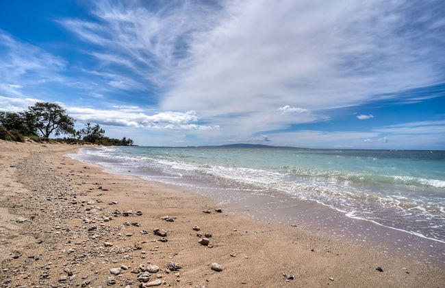 Sunny and Soothing Oceanfront Vistas - Foto 36