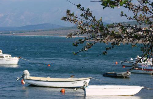 Apartmani Juliana - Photo 15