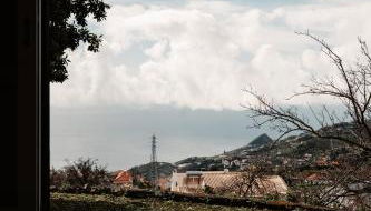 Madeira Island Rustic Mountain Home - Photo 3