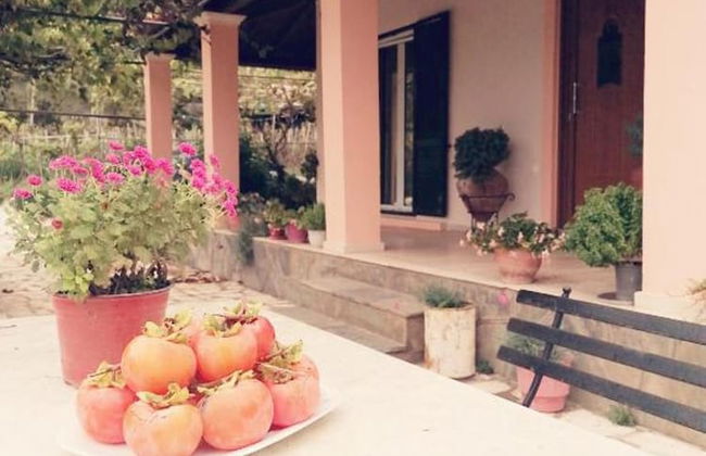 Green Yard Retreat - Family Getaway in Sidari Corfu - Foto 28