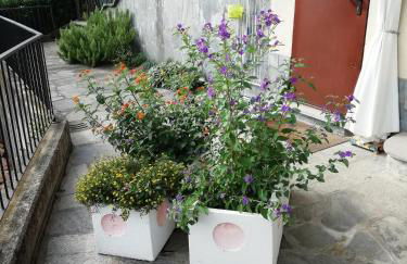 Villa Banfi - Foto 7