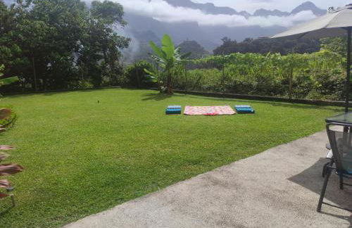 CASA GIRASSOL " uma Janela para o Nascer do Sol " - Foto 8