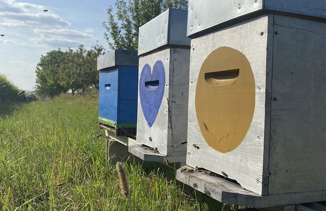 L'intemporel - Foto 58