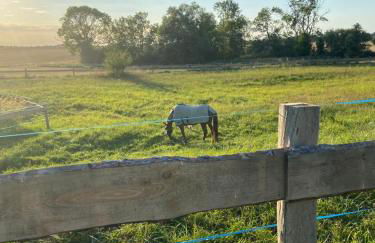 Neu renoviert: 11 Zimmer mit großer Wohnküche, mitten in der Natur - Foto 18