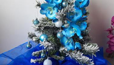 Grazia's Home - Foto 2