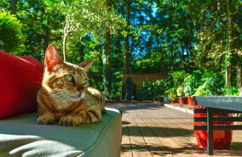 The Iflissen Nest - Luxury Appartment - Foto 27