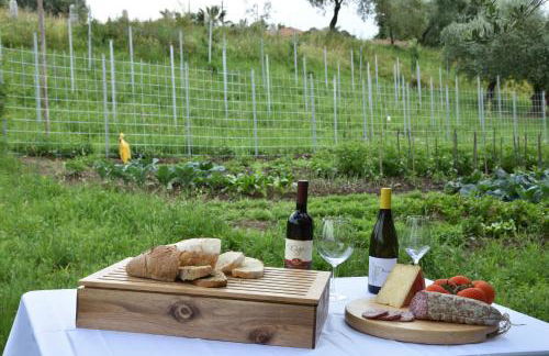 Agriturismo Il Colle - Foto 140