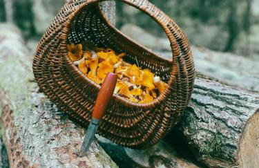 Święty Spokój Łąka i Woda - Foto 6